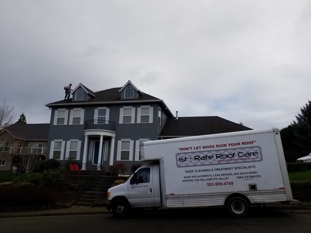 Roof Cleaning Experts